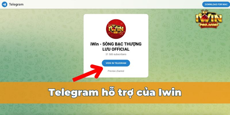 Telegram là kênh thông dụng được nhiều thành viên sử dụng